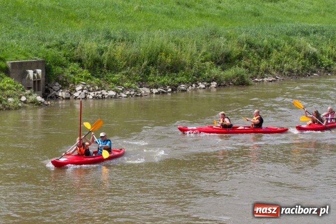 Zdjęcie w galerii na portalu naszraciborz.pl: Pływackie sprinty na Odrze FOTO i wyniki  wiadomości z regionu