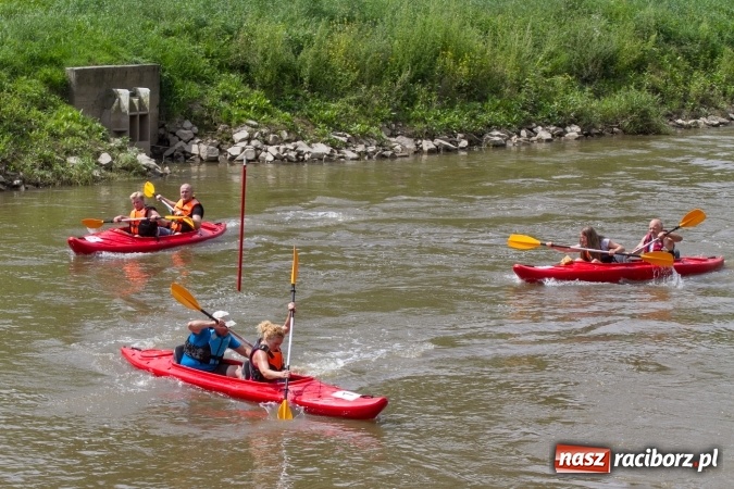 Zdjęcie w galerii na portalu naszraciborz.pl: Pływackie sprinty na Odrze FOTO i wyniki  wiadomości z regionu