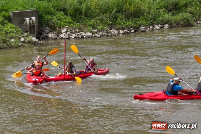Zdjęcie w galerii na portalu naszraciborz.pl: Pływackie sprinty na Odrze FOTO i wyniki  wiadomości z regionu