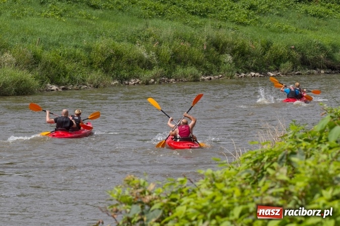 Zdjęcie w galerii na portalu naszraciborz.pl: Pływackie sprinty na Odrze FOTO i wyniki  wiadomości z regionu