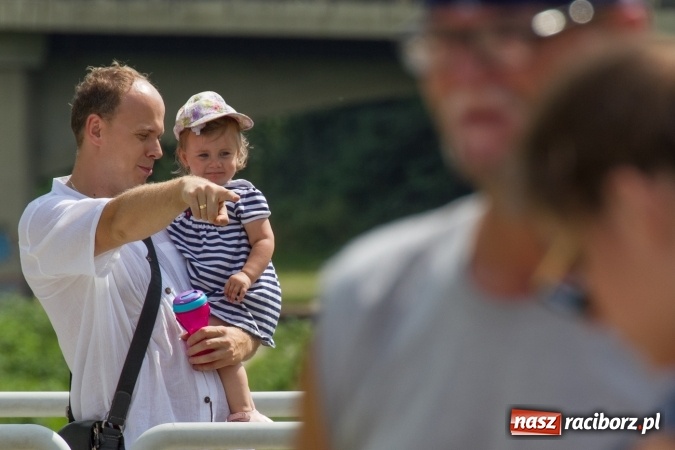 Zdjęcie w galerii na portalu naszraciborz.pl: Pływackie sprinty na Odrze FOTO i wyniki  wiadomości z regionu