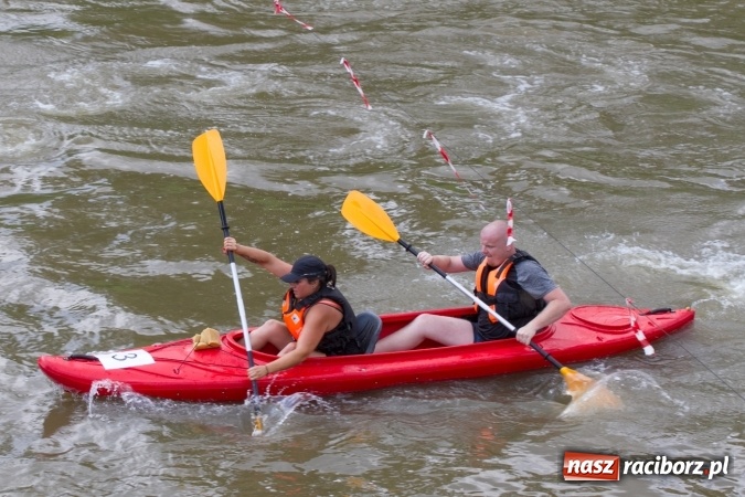 Zdjęcie w galerii na portalu naszraciborz.pl: Pływackie sprinty na Odrze FOTO i wyniki  wiadomości z regionu