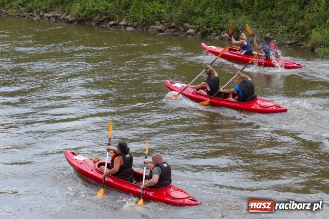 Zdjęcie w galerii na portalu naszraciborz.pl: Pływackie sprinty na Odrze FOTO i wyniki  wiadomości z regionu