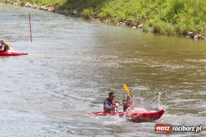 Zdjęcie w galerii na portalu naszraciborz.pl: Pływackie sprinty na Odrze FOTO i wyniki  wiadomości z regionu