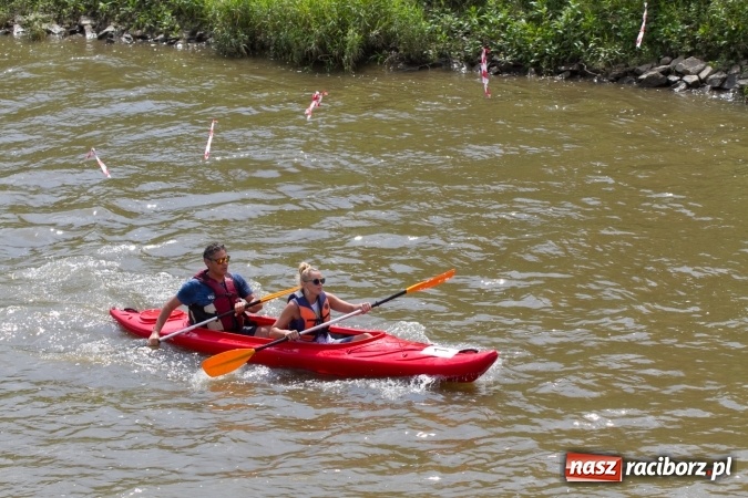 Zdjęcie w galerii na portalu naszraciborz.pl: Pływackie sprinty na Odrze FOTO i wyniki  wiadomości z regionu