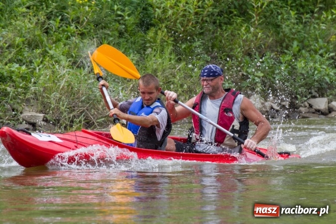 Zdjęcie w galerii na portalu naszraciborz.pl: Pływackie sprinty na Odrze FOTO i wyniki  wiadomości z regionu