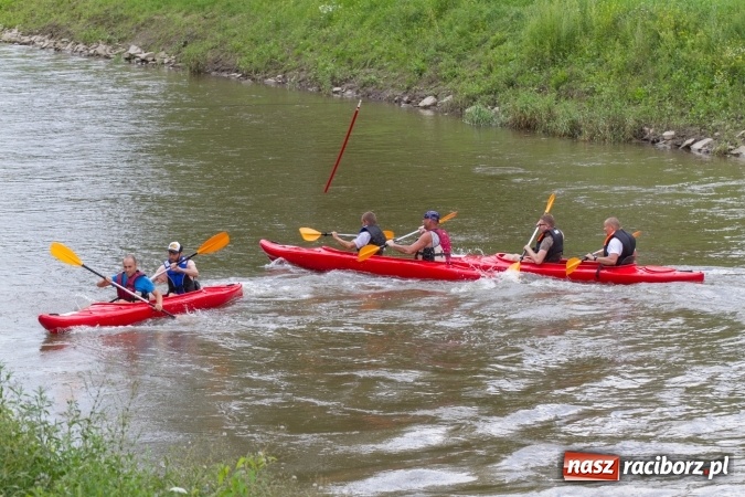 Zdjęcie w galerii na portalu naszraciborz.pl: Pływackie sprinty na Odrze FOTO i wyniki  wiadomości z regionu