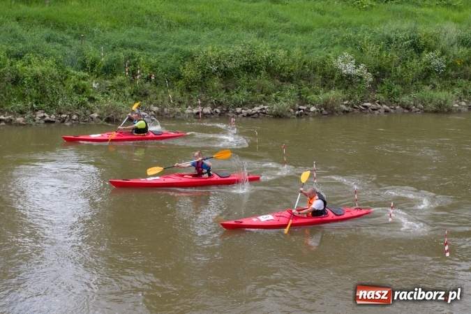 Zdjęcie w galerii na portalu naszraciborz.pl: Pływackie sprinty na Odrze FOTO i wyniki  wiadomości z regionu