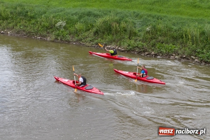 Zdjęcie w galerii na portalu naszraciborz.pl: Pływackie sprinty na Odrze FOTO i wyniki  wiadomości z regionu