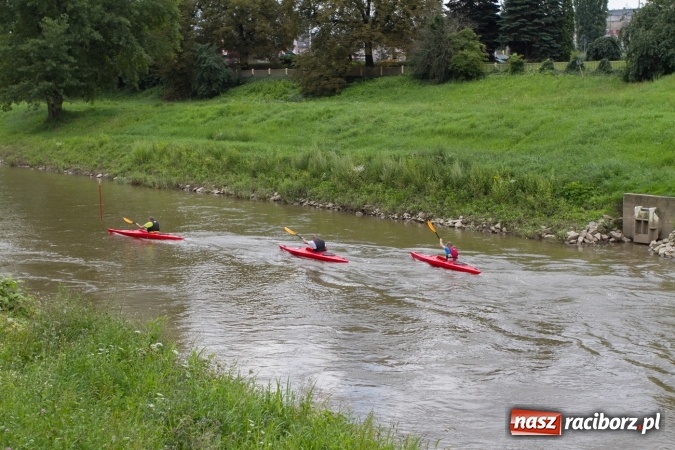 Zdjęcie w galerii na portalu naszraciborz.pl: Pływackie sprinty na Odrze FOTO i wyniki  wiadomości z regionu