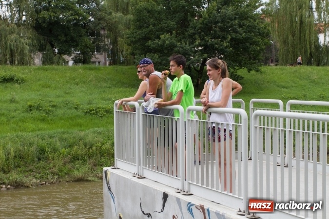 Zdjęcie w galerii na portalu naszraciborz.pl: Pływackie sprinty na Odrze FOTO i wyniki  wiadomości z regionu