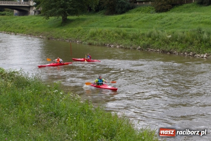 Zdjęcie w galerii na portalu naszraciborz.pl: Pływackie sprinty na Odrze FOTO i wyniki  wiadomości z regionu
