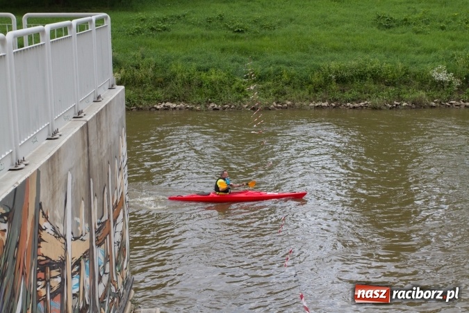 Zdjęcie w galerii na portalu naszraciborz.pl: Pływackie sprinty na Odrze FOTO i wyniki  wiadomości z regionu