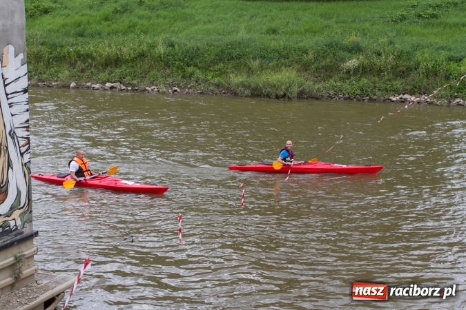 Zdjęcie w galerii na portalu naszraciborz.pl: Pływackie sprinty na Odrze FOTO i wyniki  wiadomości z regionu
