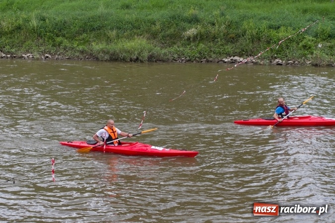 Zdjęcie w galerii na portalu naszraciborz.pl: Pływackie sprinty na Odrze FOTO i wyniki  wiadomości z regionu
