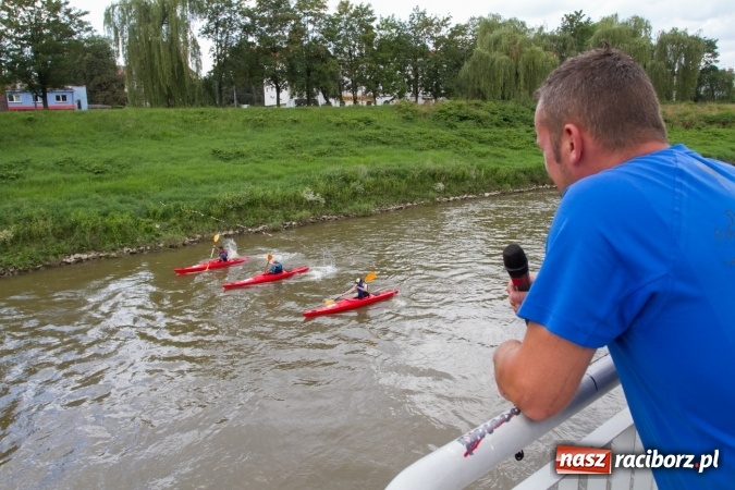 Zdjęcie w galerii na portalu naszraciborz.pl: Pływackie sprinty na Odrze FOTO i wyniki  wiadomości z regionu