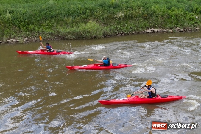 Zdjęcie w galerii na portalu naszraciborz.pl: Pływackie sprinty na Odrze FOTO i wyniki  wiadomości z regionu