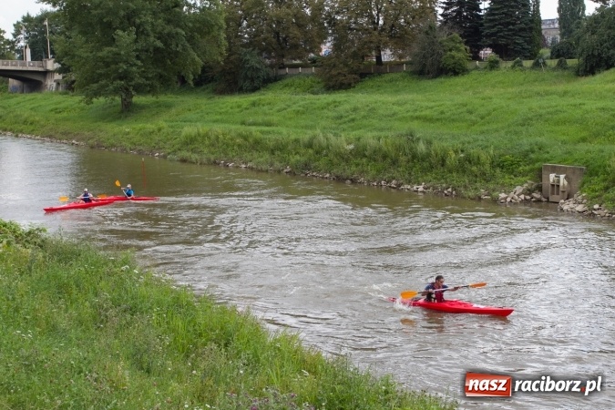 Zdjęcie w galerii na portalu naszraciborz.pl: Pływackie sprinty na Odrze FOTO i wyniki  wiadomości z regionu