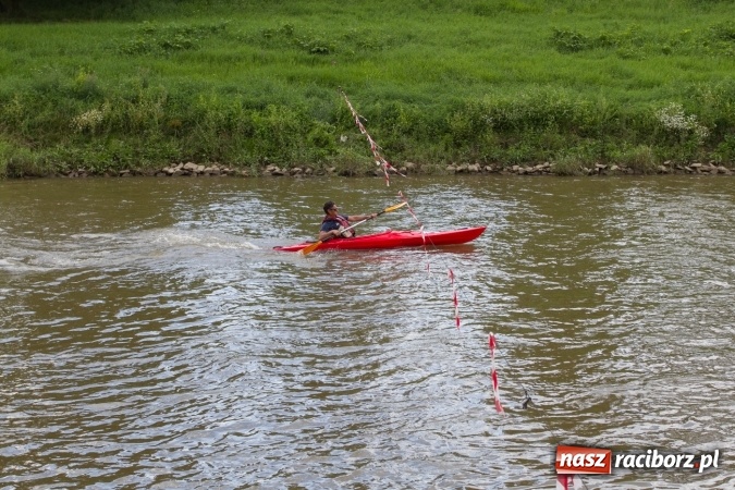 Zdjęcie w galerii na portalu naszraciborz.pl: Pływackie sprinty na Odrze FOTO i wyniki  wiadomości z regionu