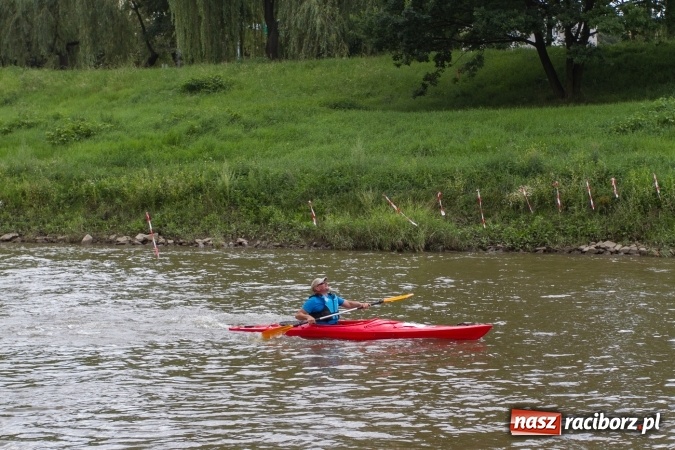 Zdjęcie w galerii na portalu naszraciborz.pl: Pływackie sprinty na Odrze FOTO i wyniki  wiadomości z regionu