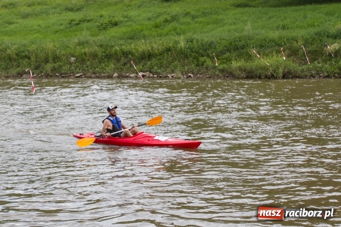 Zdjęcie w galerii na portalu naszraciborz.pl: Pływackie sprinty na Odrze FOTO i wyniki  wiadomości z regionu