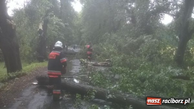 Zdjęcie w galerii na portalu naszraciborz.pl: Nawałnice nad powiatem raciborskim. Ściana wody w Rudach! wiadomości z regionu