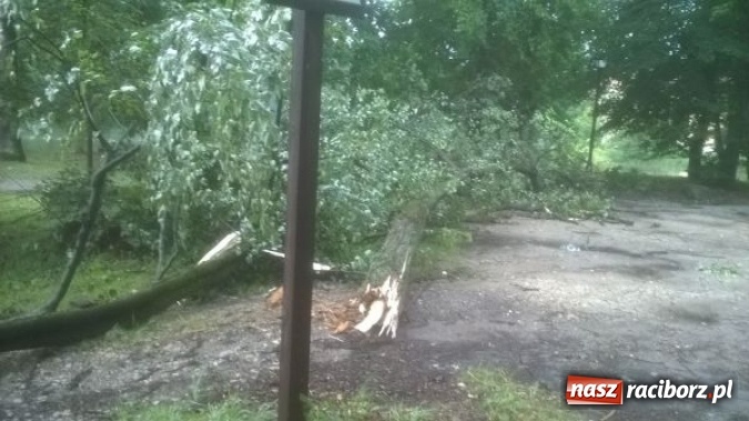Zdjęcie w galerii na portalu naszraciborz.pl: Nawałnice nad powiatem raciborskim. Ściana wody w Rudach! wiadomości z regionu