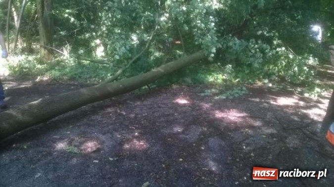 Zdjęcie w galerii na portalu naszraciborz.pl: Nawałnice nad powiatem raciborskim. Ściana wody w Rudach! wiadomości z regionu