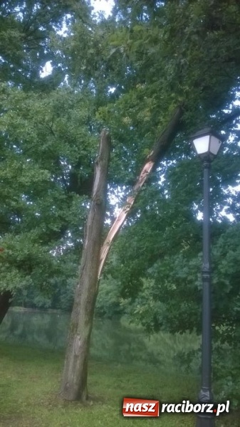 Zdjęcie w galerii na portalu naszraciborz.pl: Nawałnice nad powiatem raciborskim. Ściana wody w Rudach! wiadomości z regionu