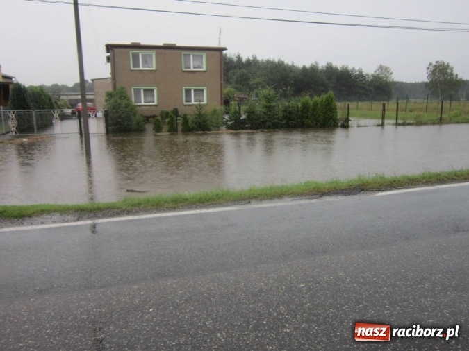 Zdjęcie w galerii na portalu naszraciborz.pl: Podtopione domy i budynki użyteczności publicznej, w tym szkoła. Rudy po nawałnicy wiadomości z regionu