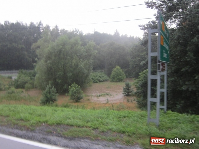 Zdjęcie w galerii na portalu naszraciborz.pl: Podtopione domy i budynki użyteczności publicznej, w tym szkoła. Rudy po nawałnicy wiadomości z regionu