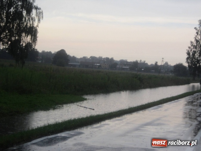 Zdjęcie w galerii na portalu naszraciborz.pl: Podtopione domy i budynki użyteczności publicznej, w tym szkoła. Rudy po nawałnicy wiadomości z regionu