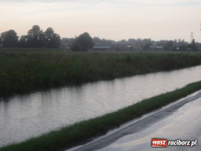 Zdjęcie w galerii na portalu naszraciborz.pl: Podtopione domy i budynki użyteczności publicznej, w tym szkoła. Rudy po nawałnicy wiadomości z regionu