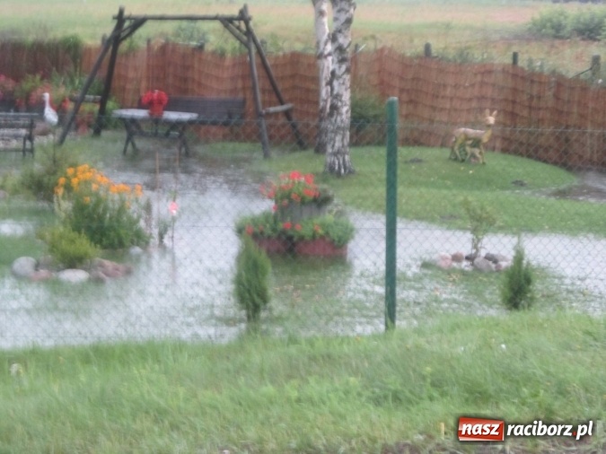 Zdjęcie w galerii na portalu naszraciborz.pl: Podtopione domy i budynki użyteczności publicznej, w tym szkoła. Rudy po nawałnicy wiadomości z regionu
