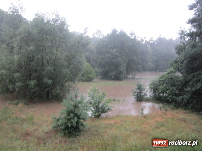 Zdjęcie w galerii na portalu naszraciborz.pl: Podtopione domy i budynki użyteczności publicznej, w tym szkoła. Rudy po nawałnicy wiadomości z regionu