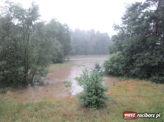 Zdjęcie w galerii na portalu naszraciborz.pl: Podtopione domy i budynki użyteczności publicznej, w tym szkoła. Rudy po nawałnicy wiadomości z regionu