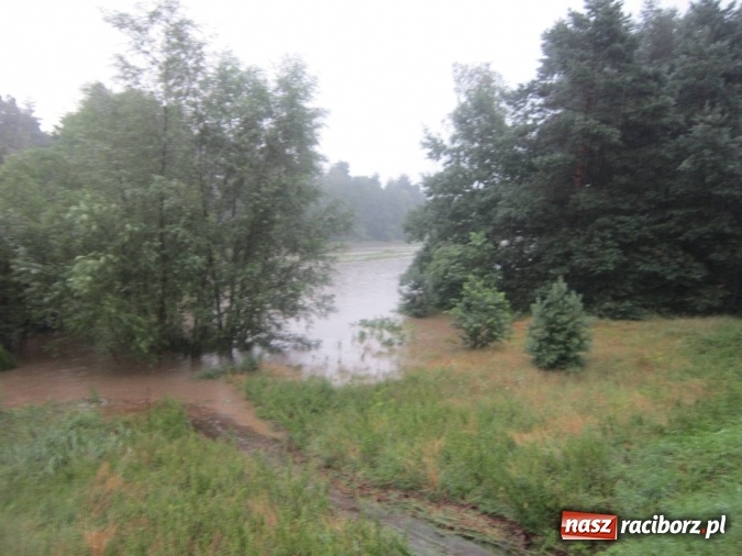 Zdjęcie w galerii na portalu naszraciborz.pl: Podtopione domy i budynki użyteczności publicznej, w tym szkoła. Rudy po nawałnicy wiadomości z regionu