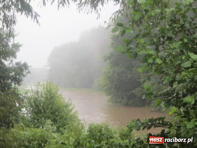 Zdjęcie w galerii na portalu naszraciborz.pl: Podtopione domy i budynki użyteczności publicznej, w tym szkoła. Rudy po nawałnicy wiadomości z regionu