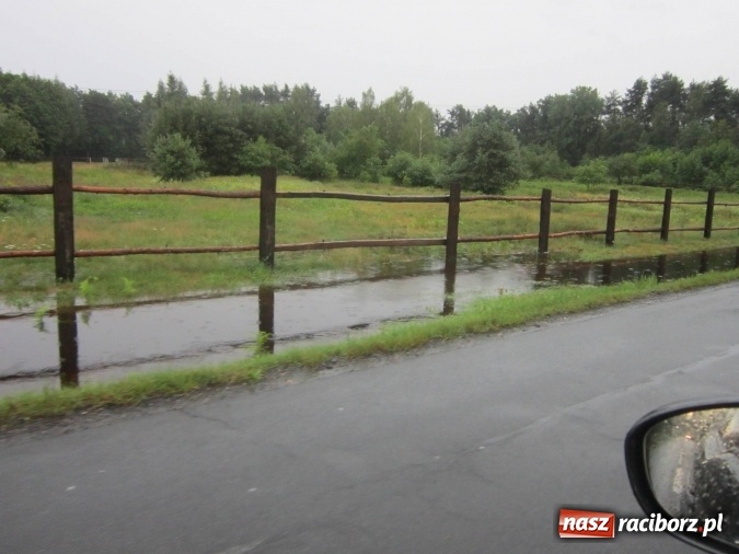 Zdjęcie w galerii na portalu naszraciborz.pl: Podtopione domy i budynki użyteczności publicznej, w tym szkoła. Rudy po nawałnicy wiadomości z regionu