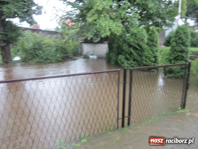 Zdjęcie w galerii na portalu naszraciborz.pl: Podtopione domy i budynki użyteczności publicznej, w tym szkoła. Rudy po nawałnicy wiadomości z regionu