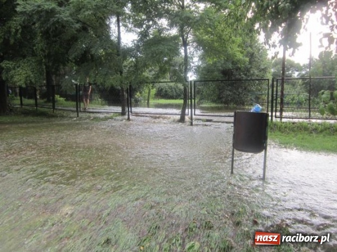 Zdjęcie w galerii na portalu naszraciborz.pl: Podtopione domy i budynki użyteczności publicznej, w tym szkoła. Rudy po nawałnicy wiadomości z regionu
