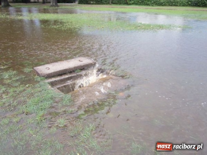 Zdjęcie w galerii na portalu naszraciborz.pl: Podtopione domy i budynki użyteczności publicznej, w tym szkoła. Rudy po nawałnicy wiadomości z regionu