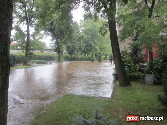 Zdjęcie w galerii na portalu naszraciborz.pl: Podtopione domy i budynki użyteczności publicznej, w tym szkoła. Rudy po nawałnicy wiadomości z regionu