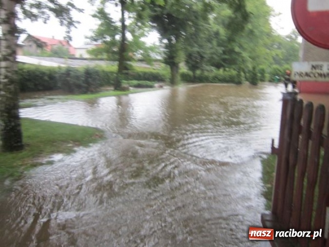 Zdjęcie w galerii na portalu naszraciborz.pl: Podtopione domy i budynki użyteczności publicznej, w tym szkoła. Rudy po nawałnicy wiadomości z regionu