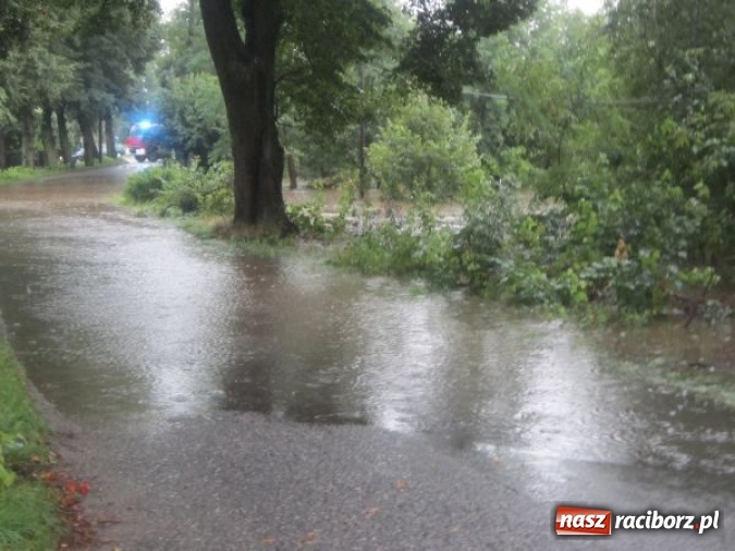 Zdjęcie w galerii na portalu naszraciborz.pl: Podtopione domy i budynki użyteczności publicznej, w tym szkoła. Rudy po nawałnicy wiadomości z regionu