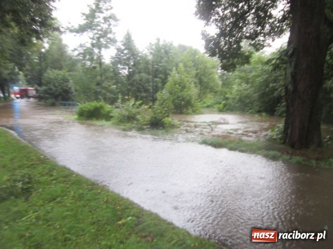 Zdjęcie w galerii na portalu naszraciborz.pl: Podtopione domy i budynki użyteczności publicznej, w tym szkoła. Rudy po nawałnicy wiadomości z regionu