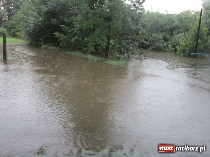 Zdjęcie w galerii na portalu naszraciborz.pl: Podtopione domy i budynki użyteczności publicznej, w tym szkoła. Rudy po nawałnicy wiadomości z regionu