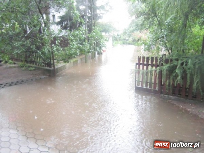 Zdjęcie w galerii na portalu naszraciborz.pl: Podtopione domy i budynki użyteczności publicznej, w tym szkoła. Rudy po nawałnicy wiadomości z regionu