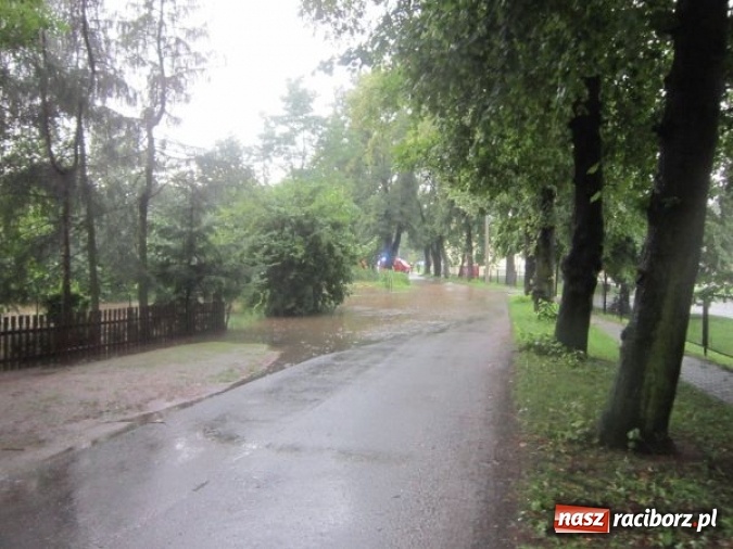 Zdjęcie w galerii na portalu naszraciborz.pl: Podtopione domy i budynki użyteczności publicznej, w tym szkoła. Rudy po nawałnicy wiadomości z regionu