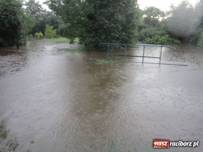 Zdjęcie w galerii na portalu naszraciborz.pl: Podtopione domy i budynki użyteczności publicznej, w tym szkoła. Rudy po nawałnicy wiadomości z regionu